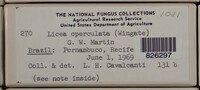Image Associated With the Occurence